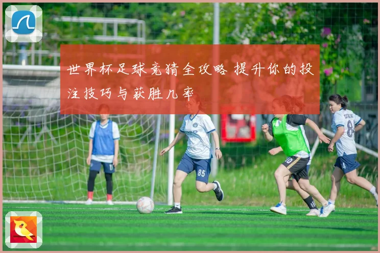 世界杯足球竞猜全攻略 提升你的投注技巧与获胜几率