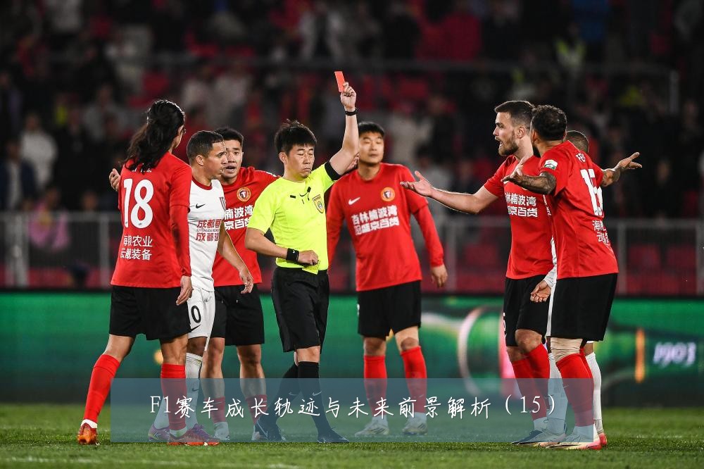 F1赛车成长轨迹与未来前景解析（15）